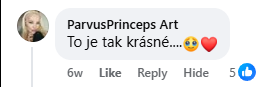 Facebook-Bewertung 19